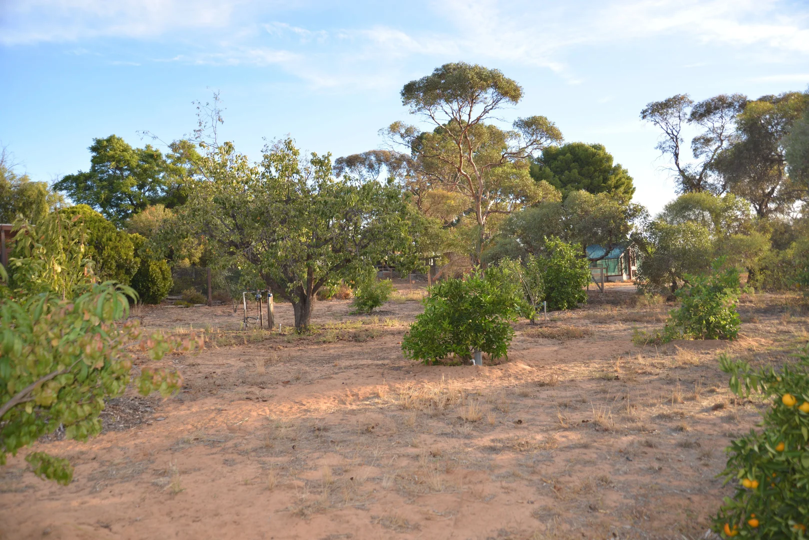 Additional image 29 of 49-53 Monash Avenue, Underbool VIC 3509