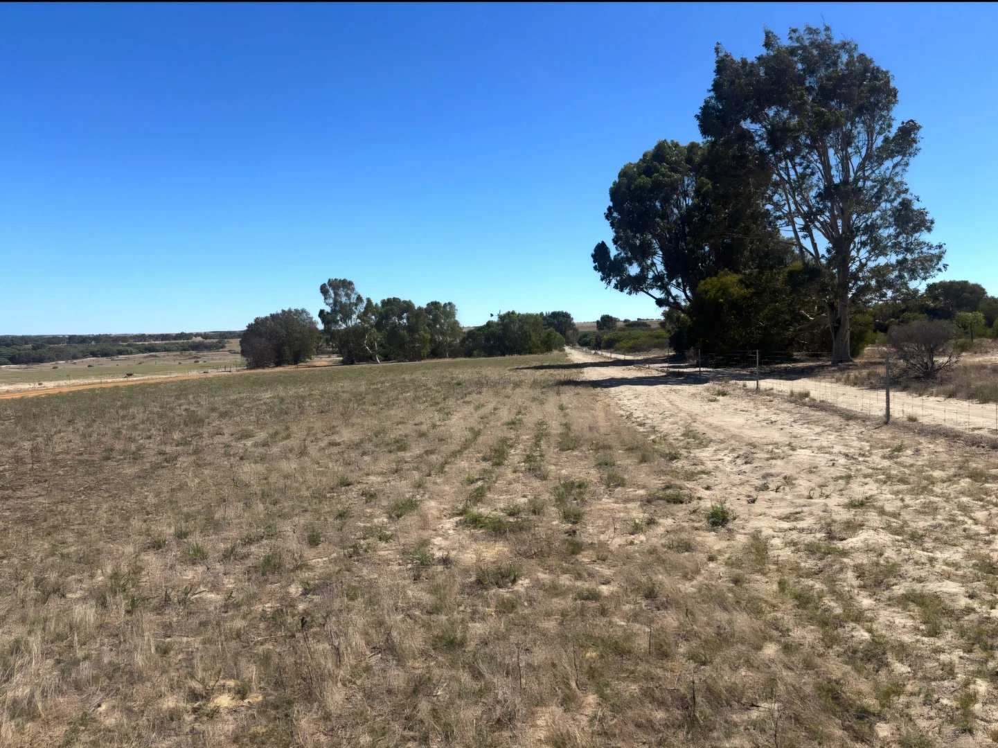 Additional image 22 of 1169 Allanooka Springs Road, Mount Hill WA 6528