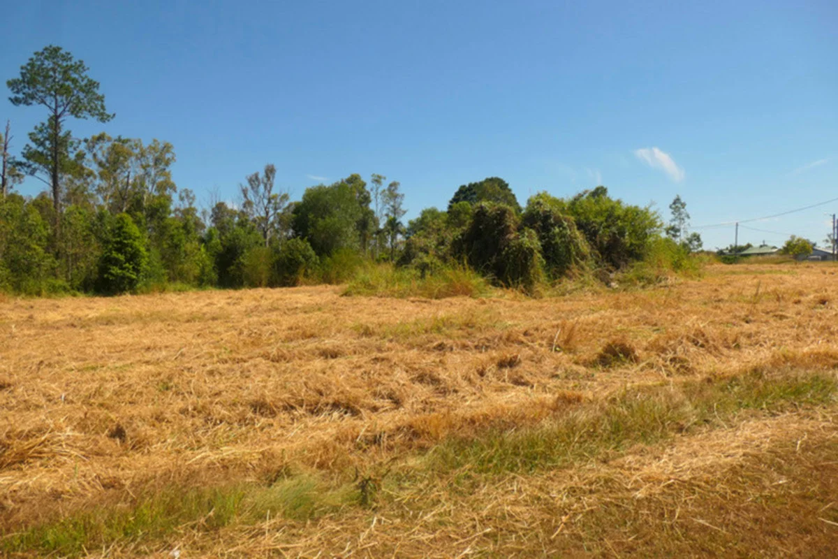 Additional image 10 of 1,2,3/12 Mclean Street, Rappville NSW 2469