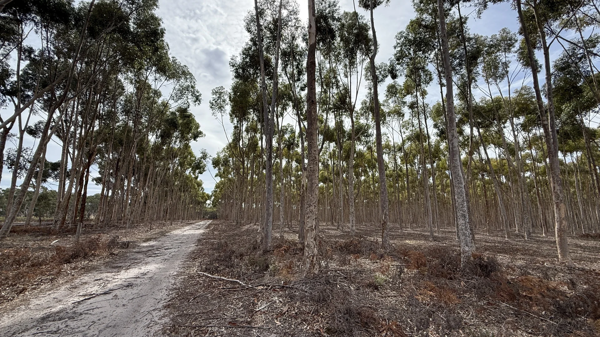 Additional image 14 of Lot 1 Jim Ryans Road, Edenhope VIC 3318