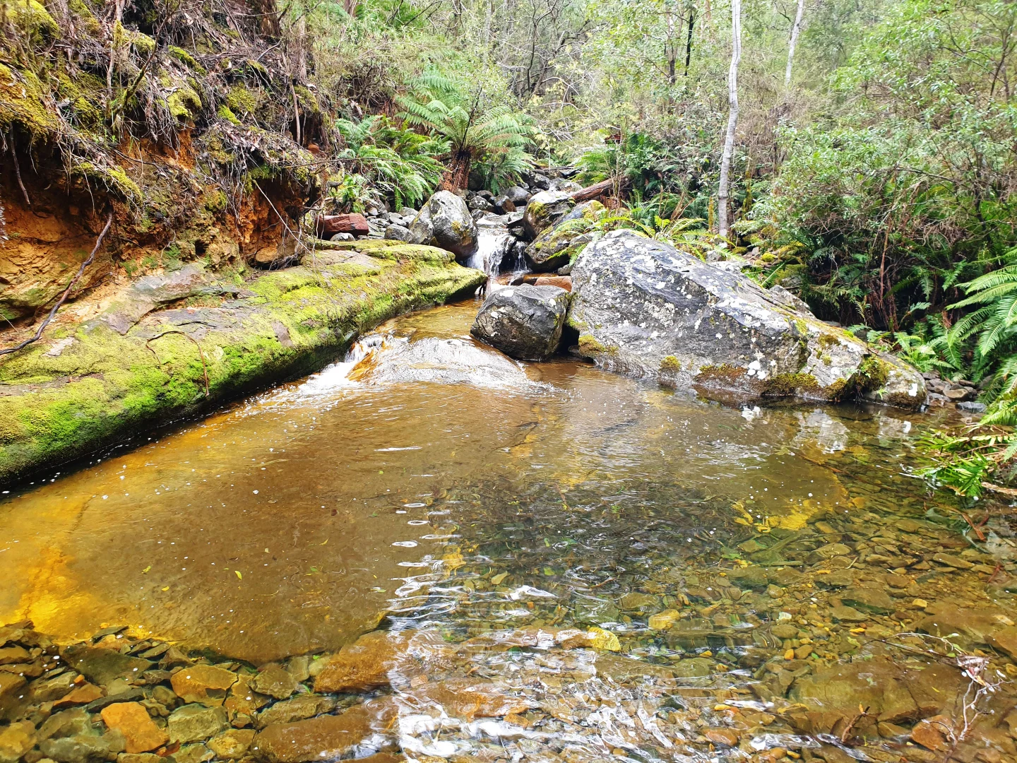 Additional image 8 of Lot 5 Liddells Road, Crabtree TAS 7109