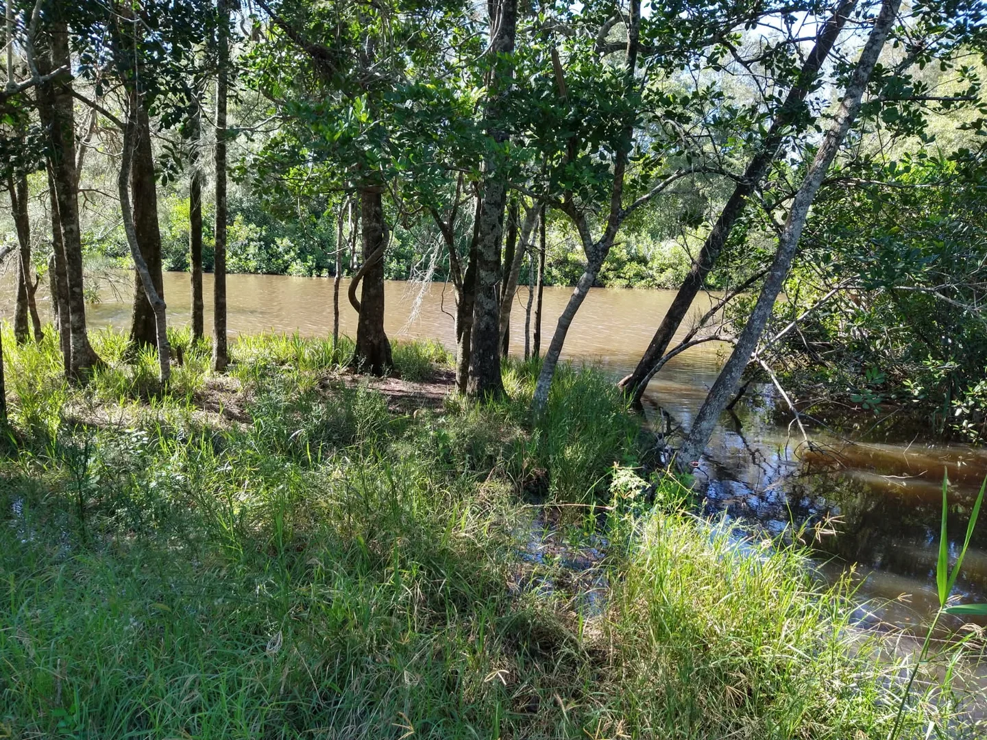 Additional image 13 of 70 North Teven Road, Teven NSW 2478