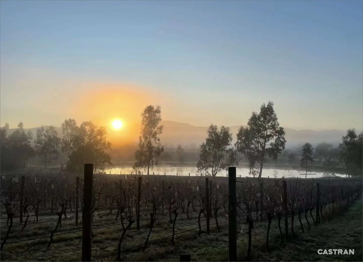 Additional image 34 of 110 Wills Road, Dixons Creek VIC 3775