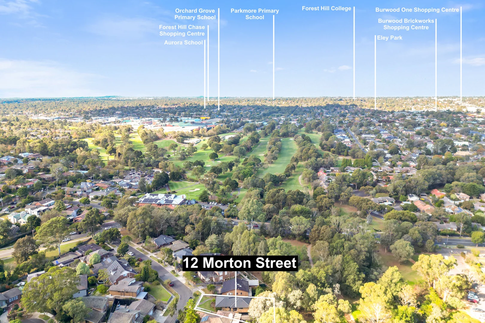 Additional image 16 of 12 Morton Street, Box Hill South VIC 3128