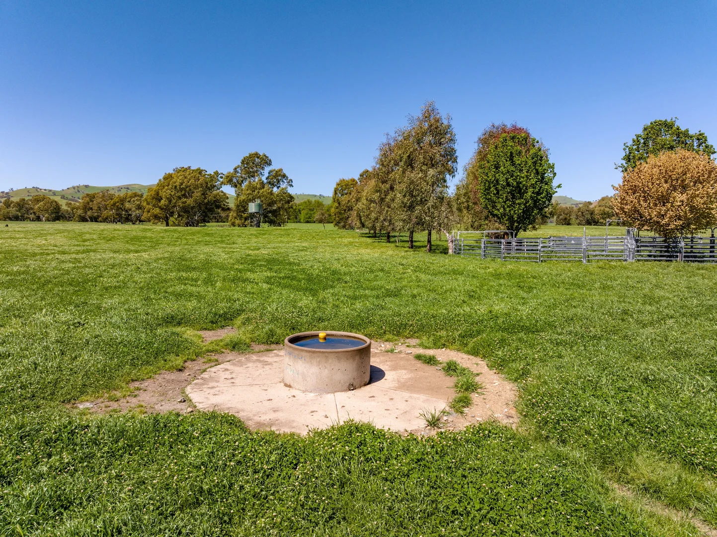 Additional image 14 of 44 Dodd Street, Gundagai NSW 2722