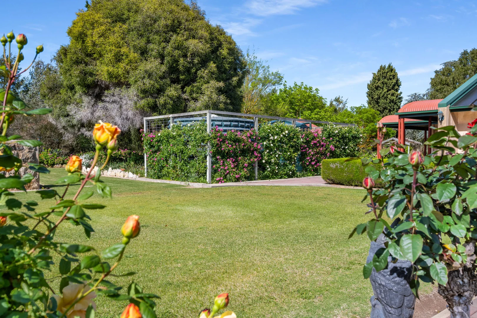 Additional image 45 of 14687 Riddoch Hwy, Coonawarra SA 5263