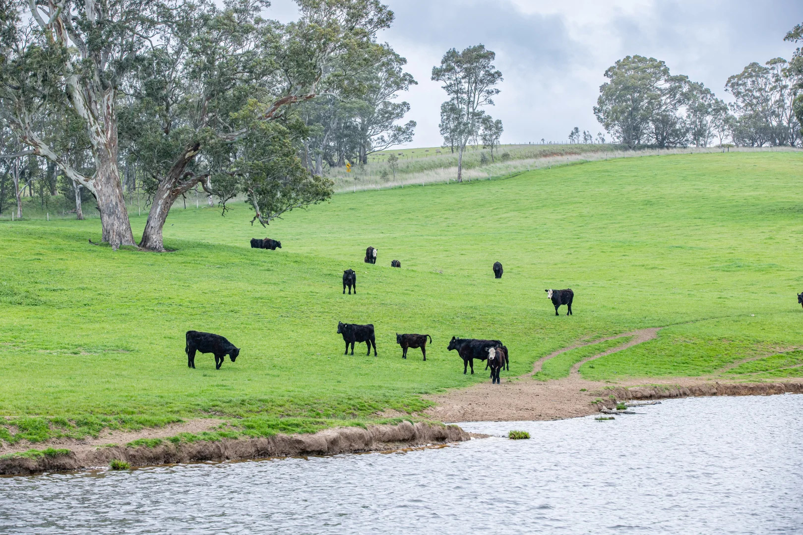 Additional image 15 of 3155 Casterton-Edenhope Road, Chetwynd VIC 3312