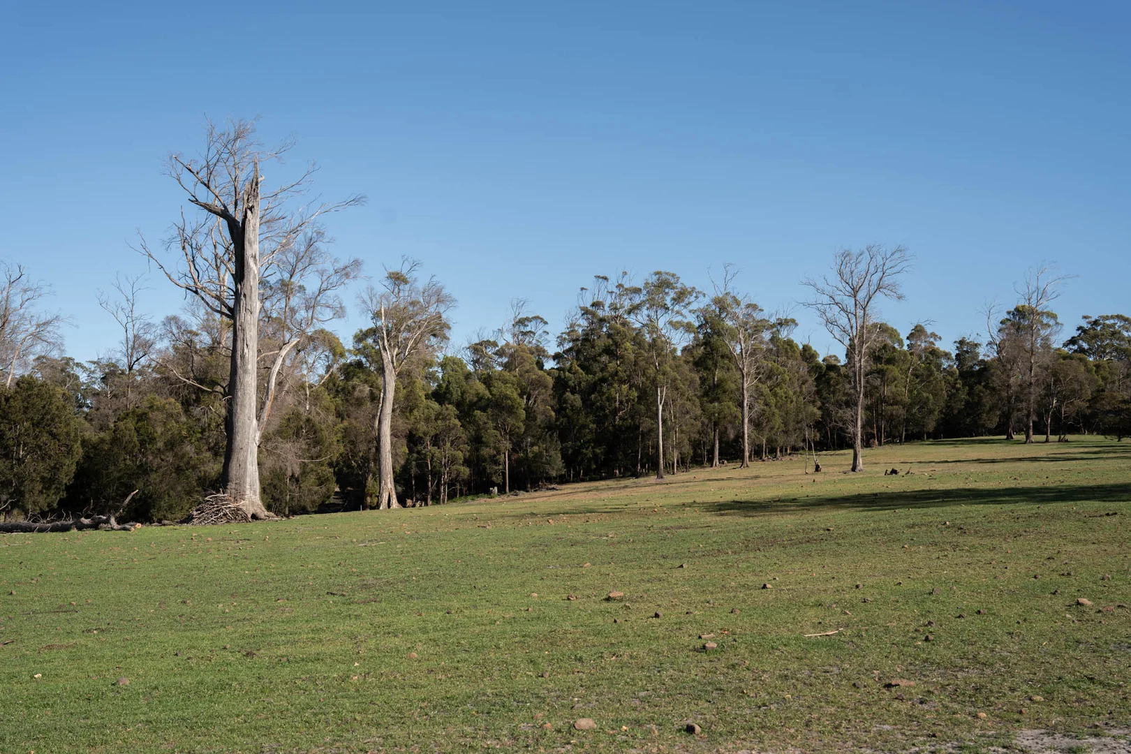 Additional image 9 of 51 Annies Lane, Northdown TAS 7307