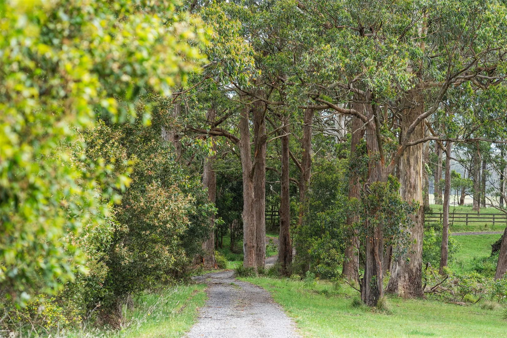 Additional image 21 of 233 Wallaby Hill Road, Robertson NSW 2577