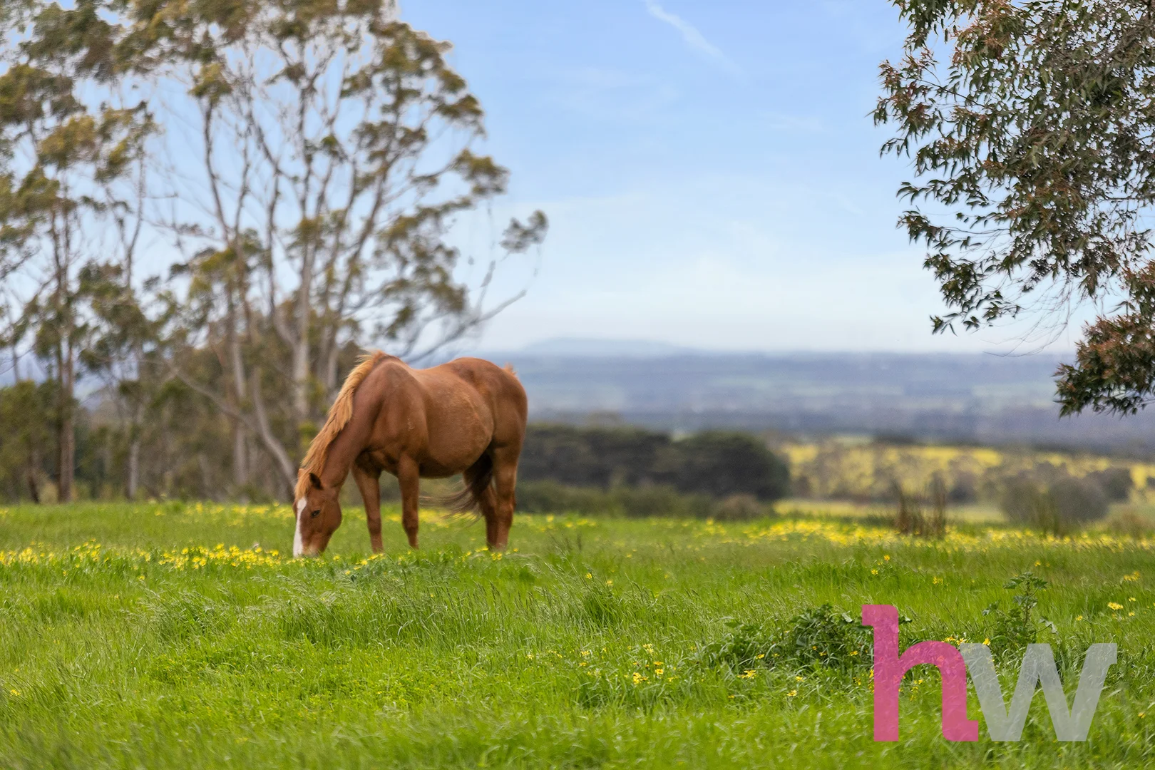 Additional image 41 of 155 Wormbete Station Road, Wurdiboluc VIC 3241