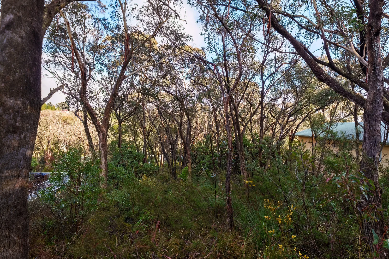 Additional image 6 of 57 Leura Mall, Leura NSW 2780