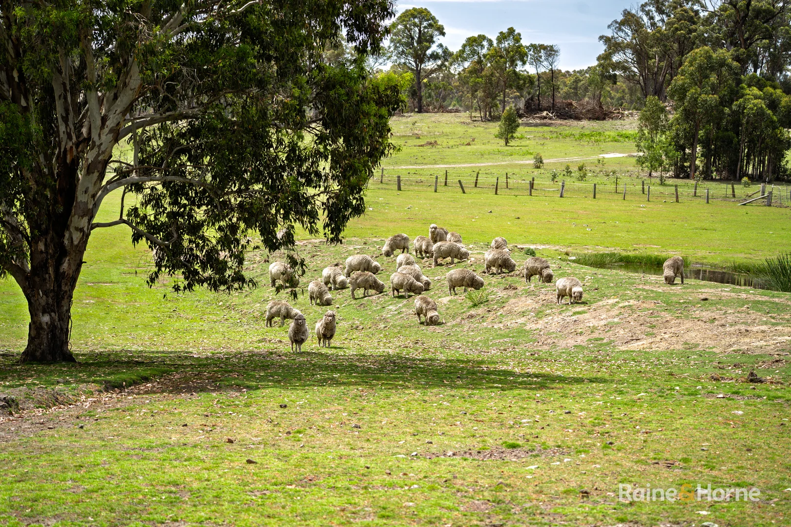 Additional image 15 of 470 Silent Grove Road, Torrington NSW 2371