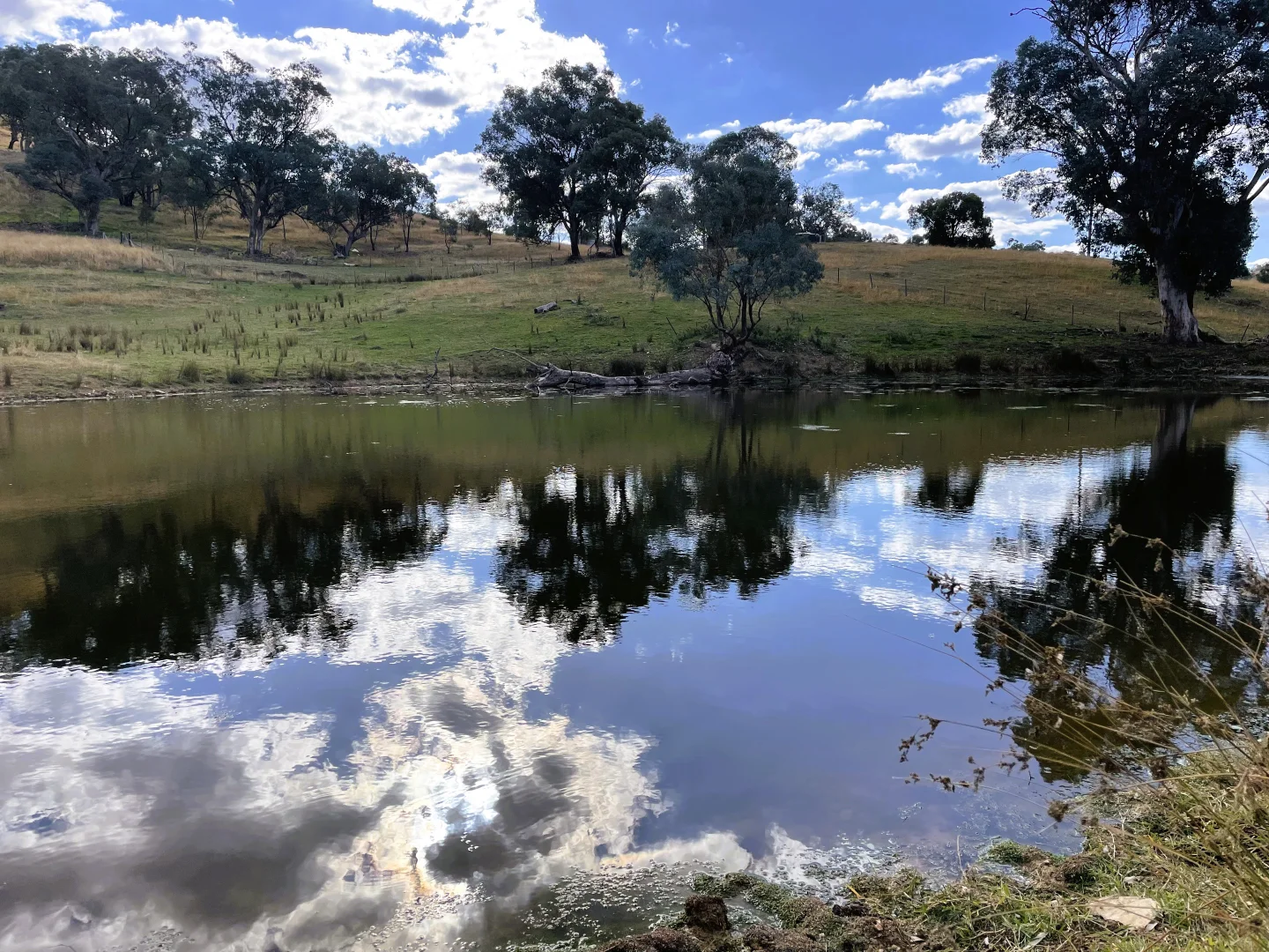 Additional image 17 of 79 Five Mile Creek Road, Gundagai NSW 2722