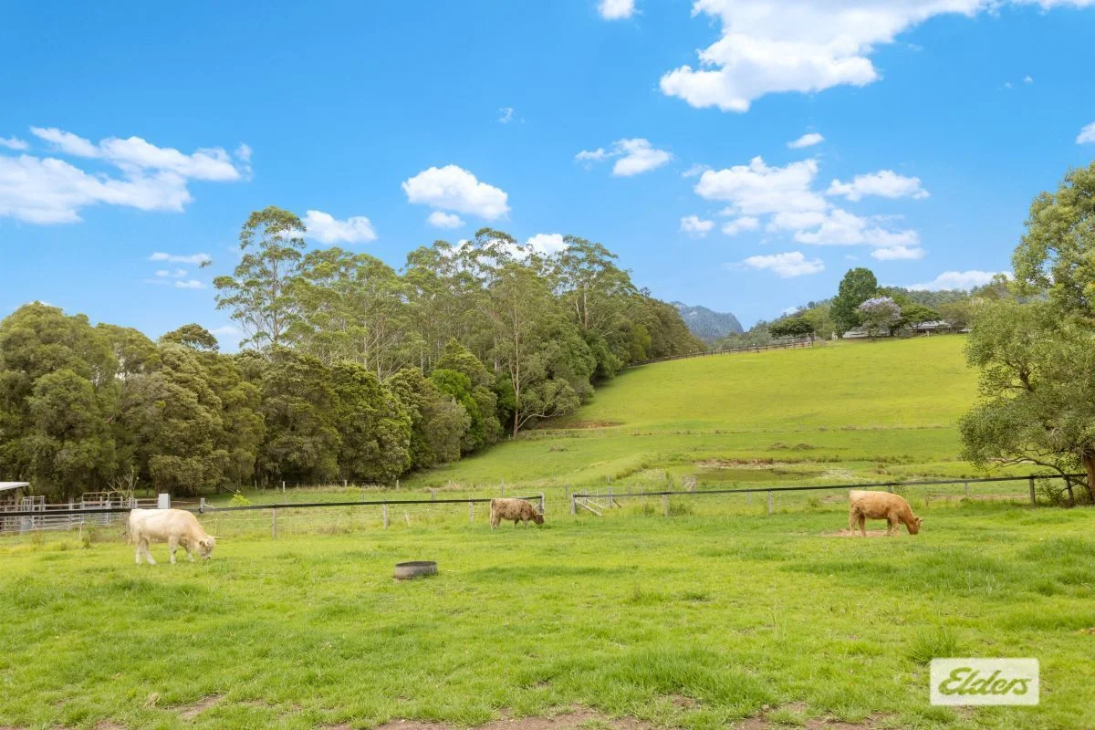 Additional image 4 of Upper Lansdowne NSW 2430