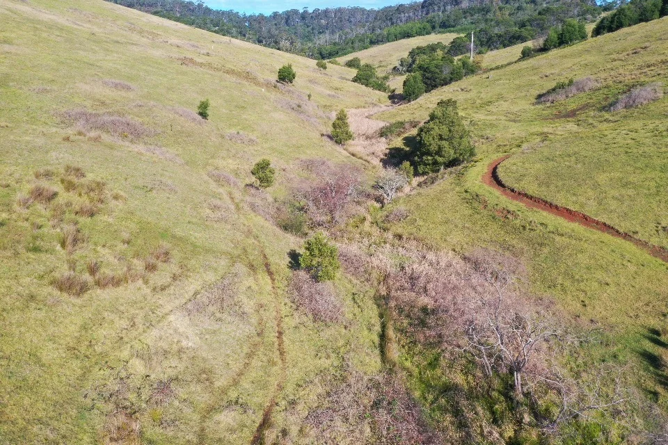 Additional image 9 of Lot 23 Fourter Road, Nethercote NSW 2549