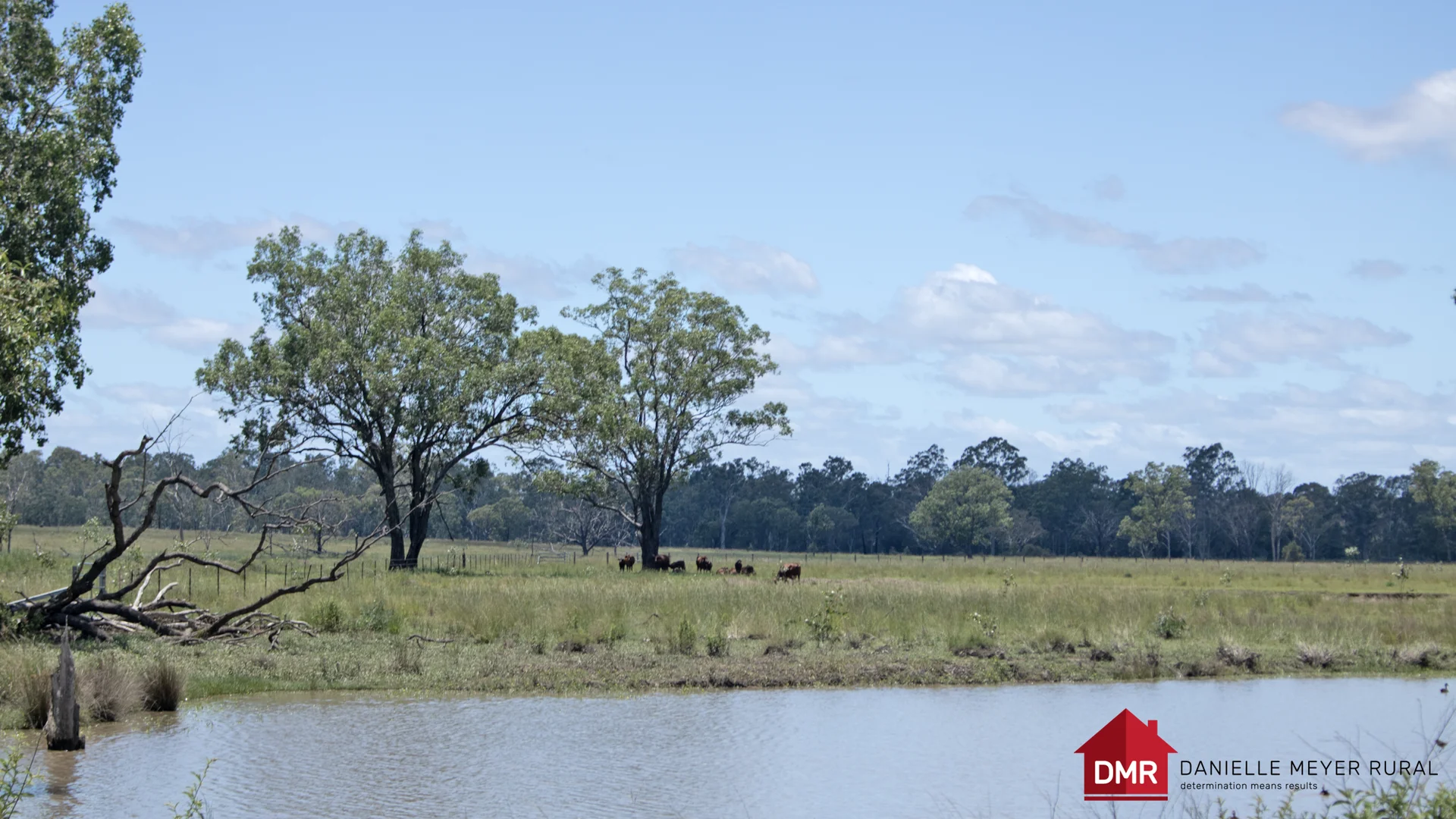 Additional image 26 of 8 Screening Plant Road, Cynthia QLD 4627