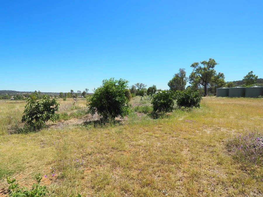 Additional image 4 of Warialda Rail NSW 2402