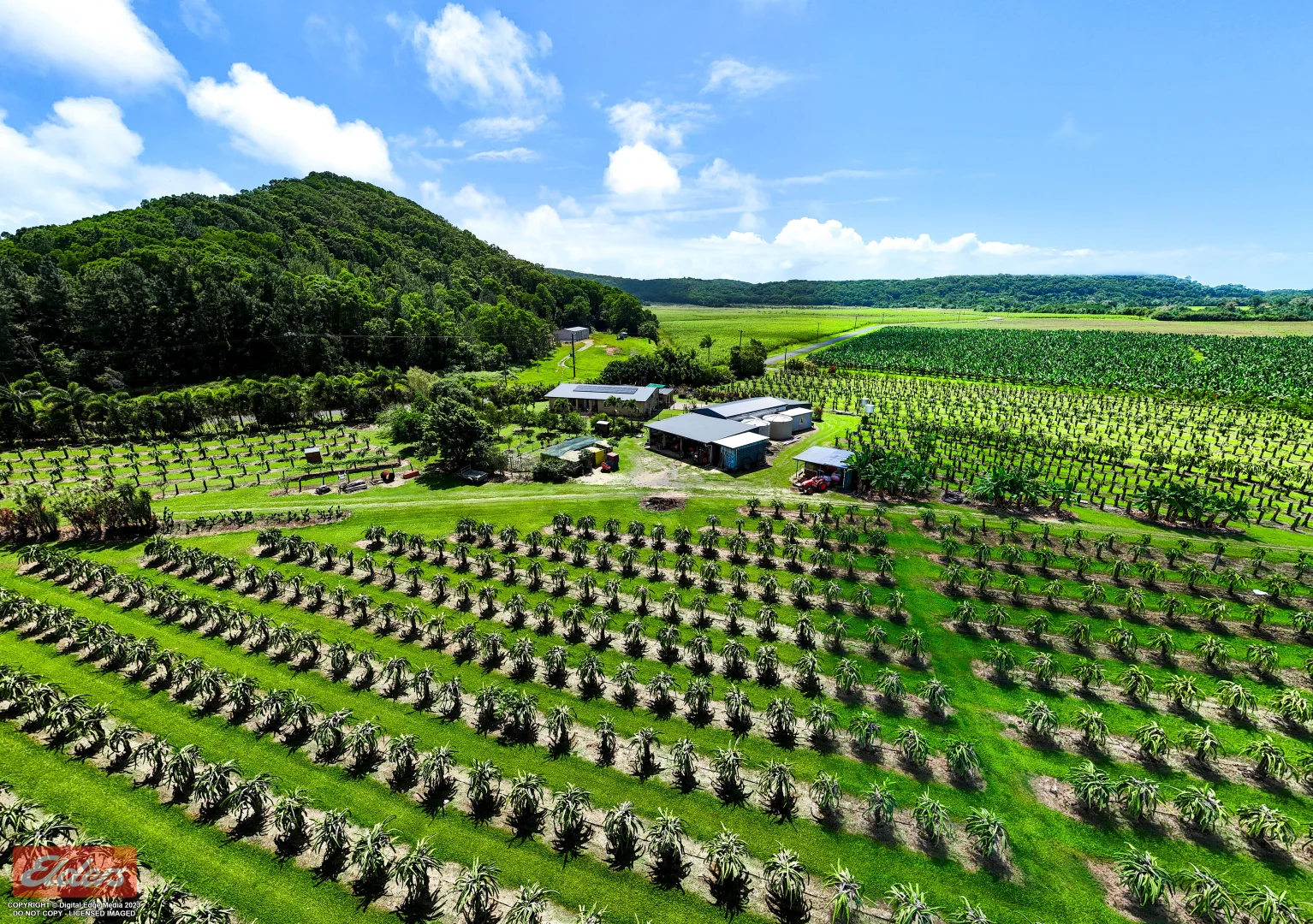 Additional image 12 of 430 Cowley Beach Road, Lower Cowley QLD 4871