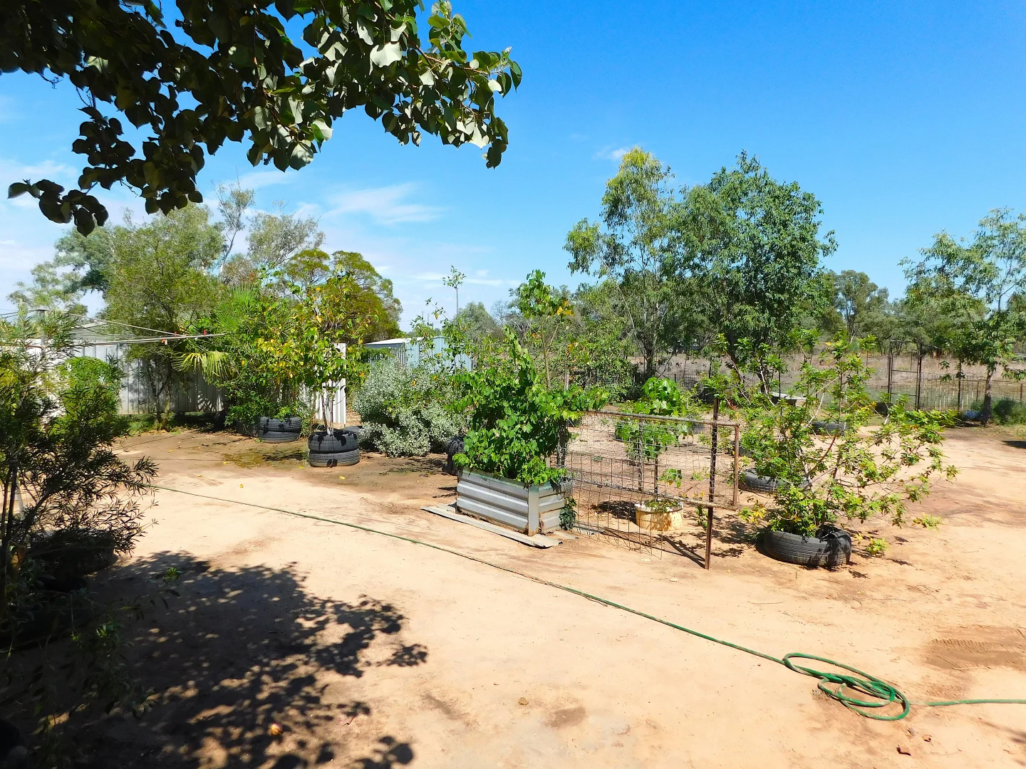 Additional image 16 of 11 Alfred Street, Charleville QLD 4470