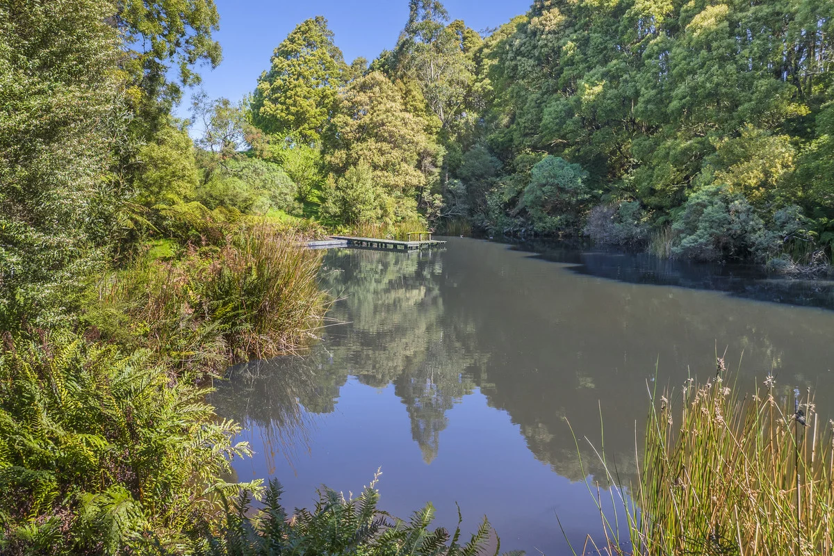 Additional image 20 of 5095 Great Ocean Road, Lavers Hill VIC 3238