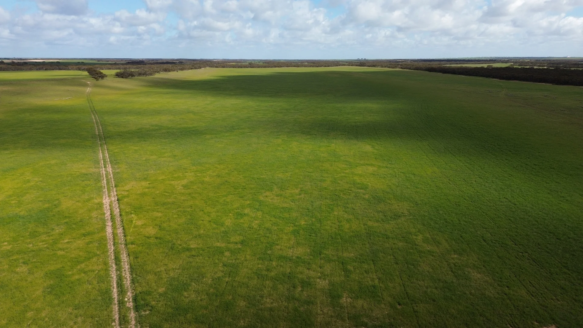 Additional image 9 of Lot 18 Tod Highway, Warramboo SA 5650