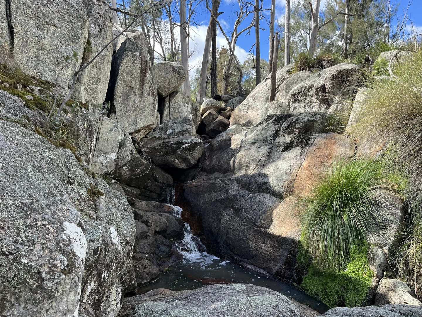 Additional image 5 of Bald Rock Bendemeer Road, Kingstown NSW 2358