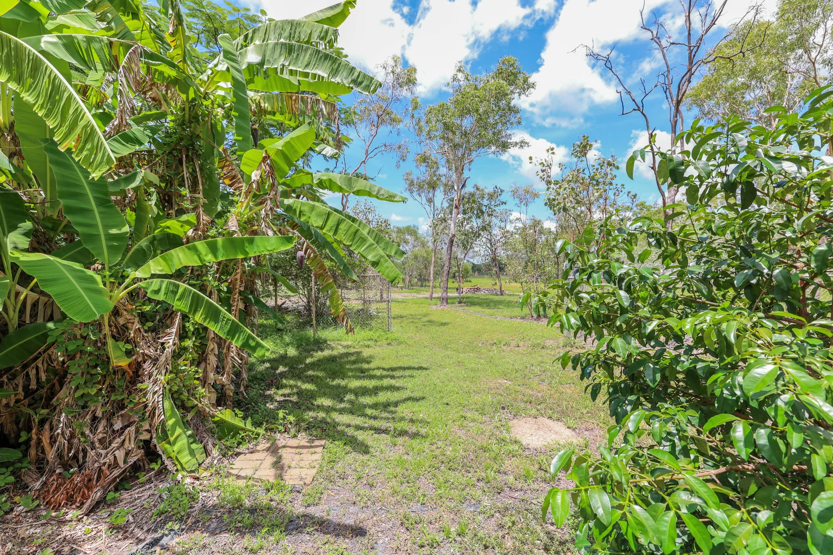 Additional image 31 of 905 Mira Road, Darwin River NT 0841