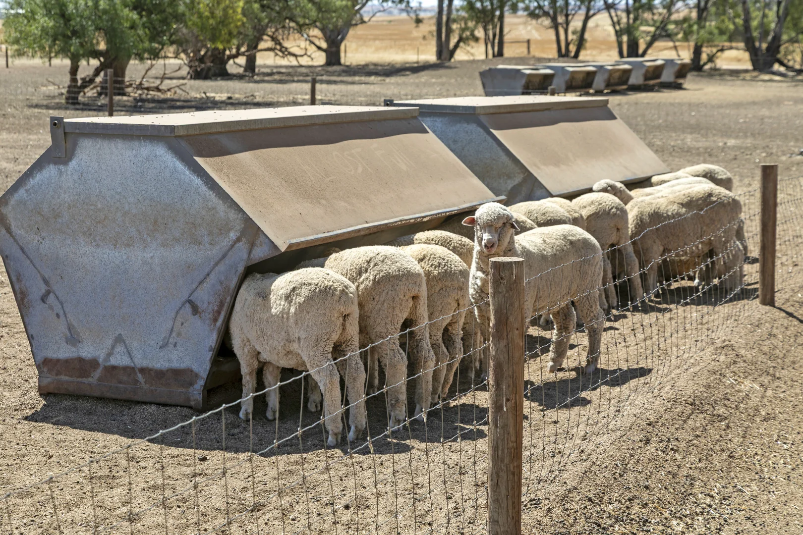 Additional image 4 of 'Merilden Feedlot' & 'Brads', Manoora SA 5414