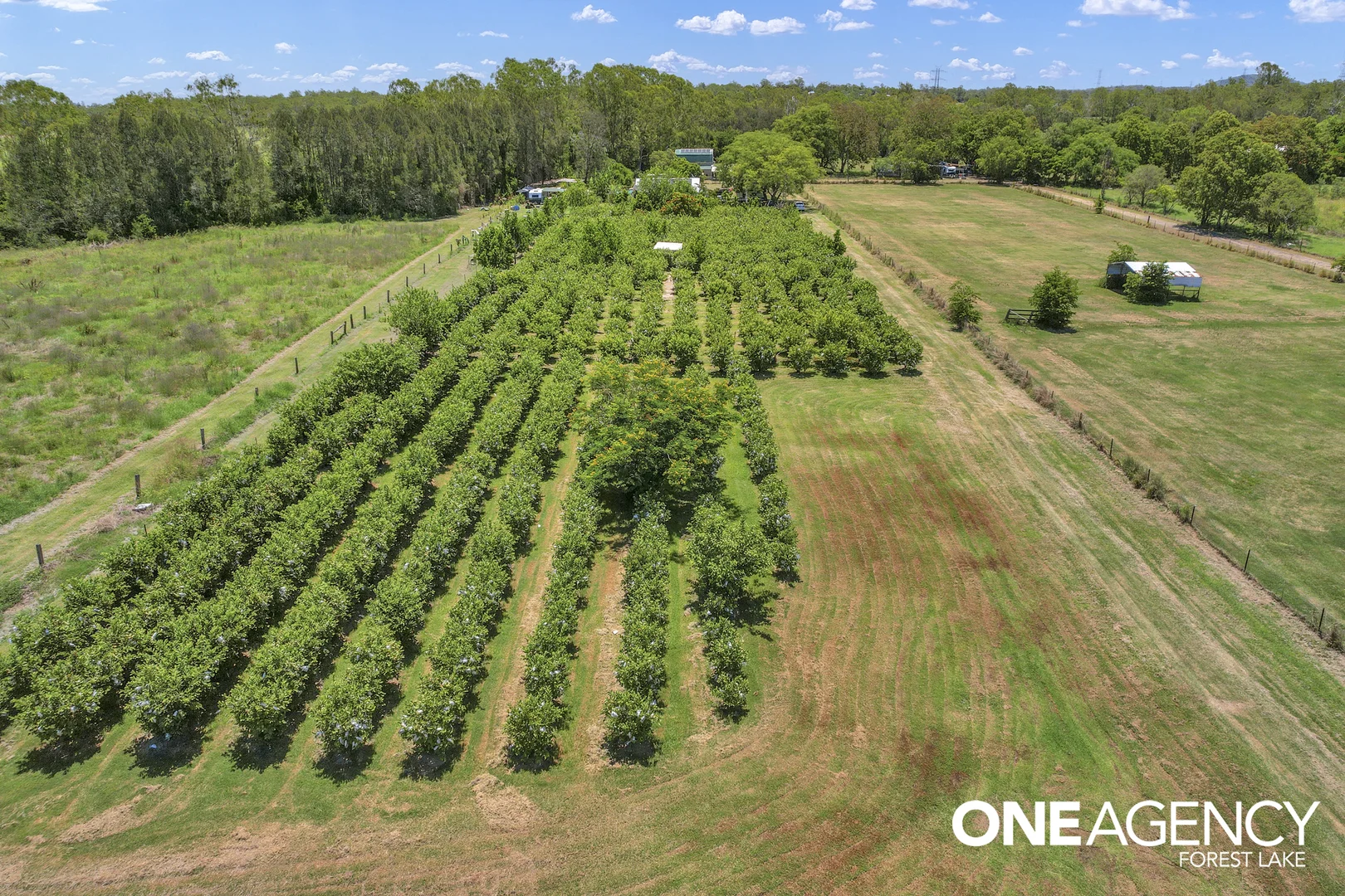 Additional image 20 of 47 Keith Street, Bundamba QLD 4304