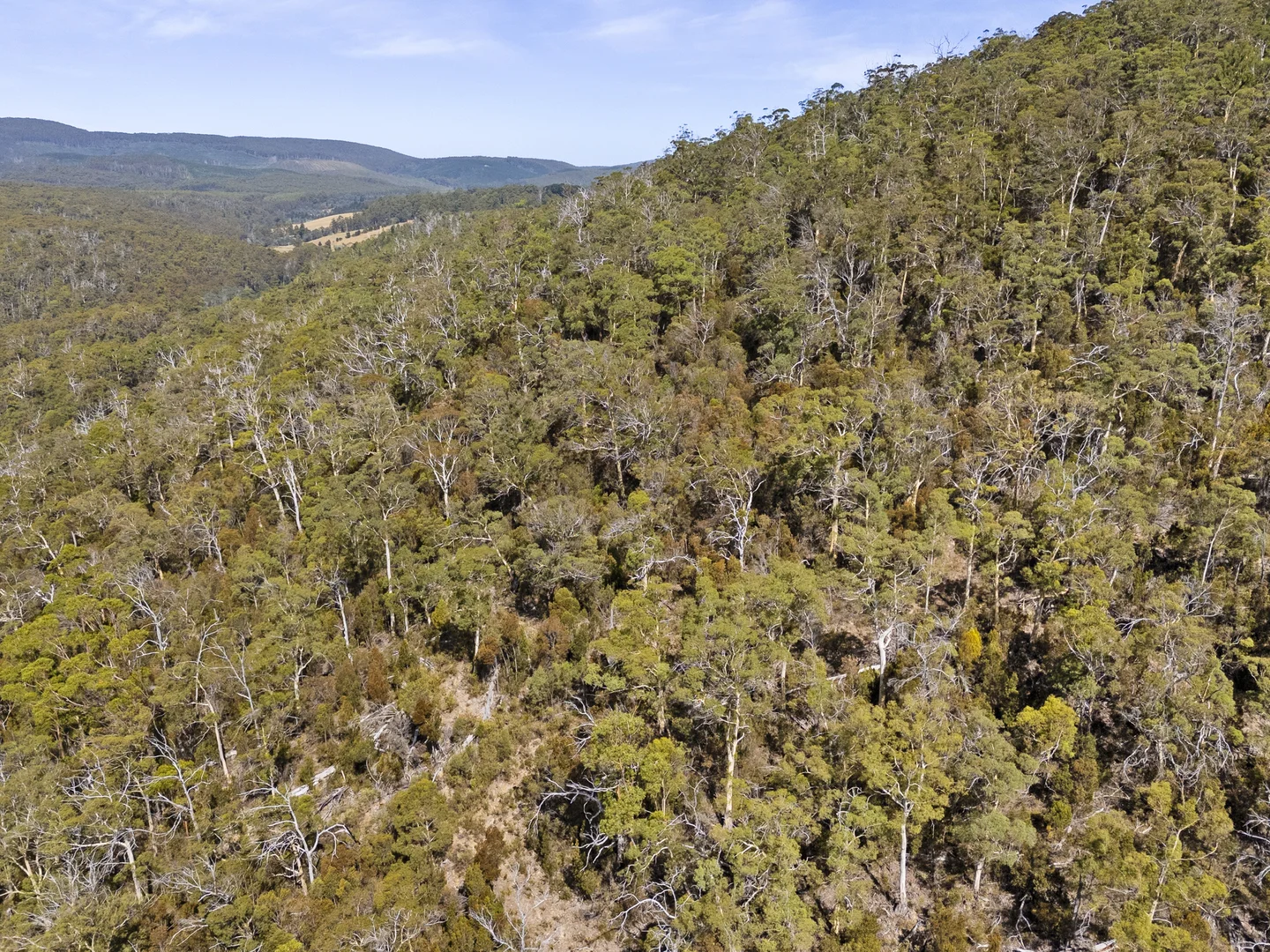 Additional image 22 of 2 and 3 White Beach Road, White Beach TAS 7184