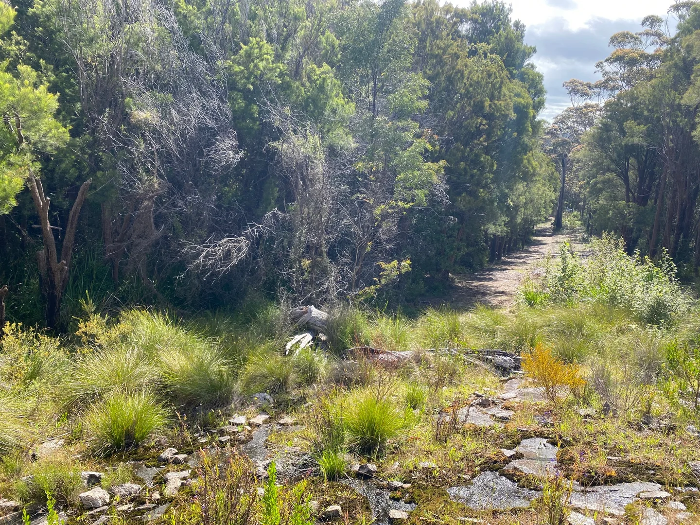 Additional image 5 of 87 Middleton Close, Shadforth WA 6333