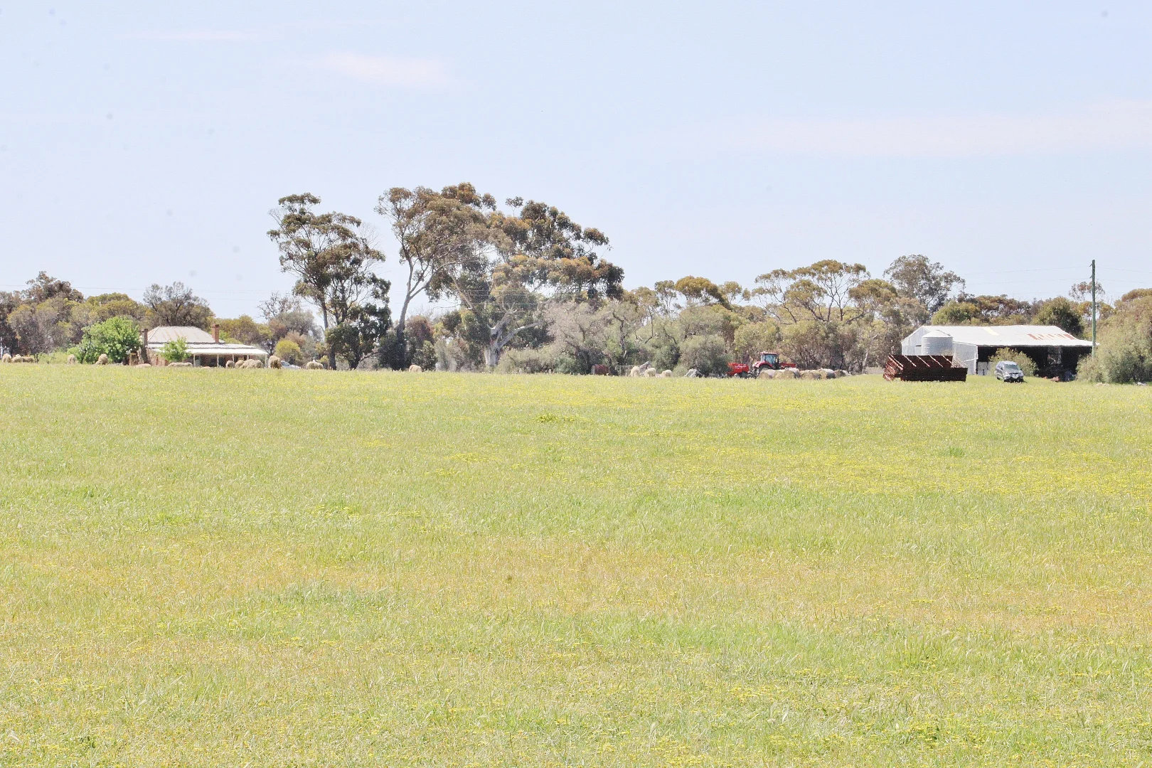 Additional image 25 of 256 WAGIN-DUMBLEYUNG ROAD, Wagin WA 6315