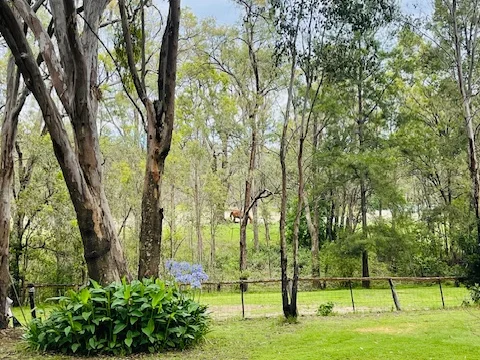 Additional image 19 of 40 Koala Crescent, Coonabarabran NSW 2357