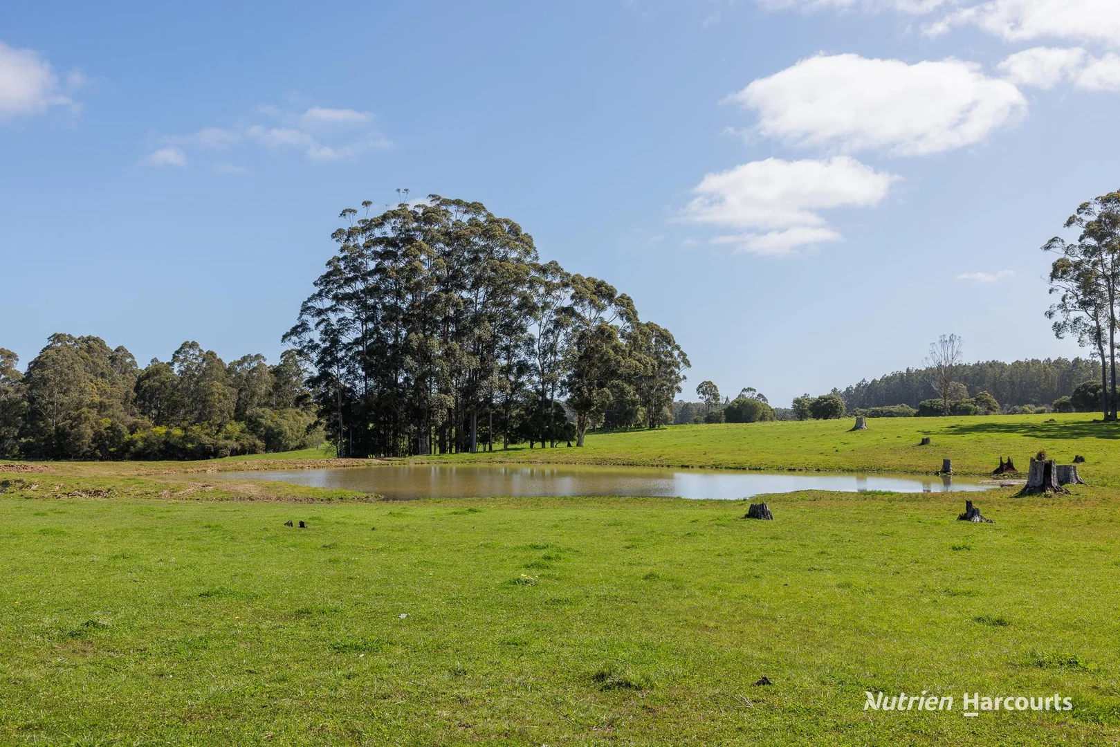 Additional image 17 of 1545 Muirillup Road, Boorara Brook WA 6262