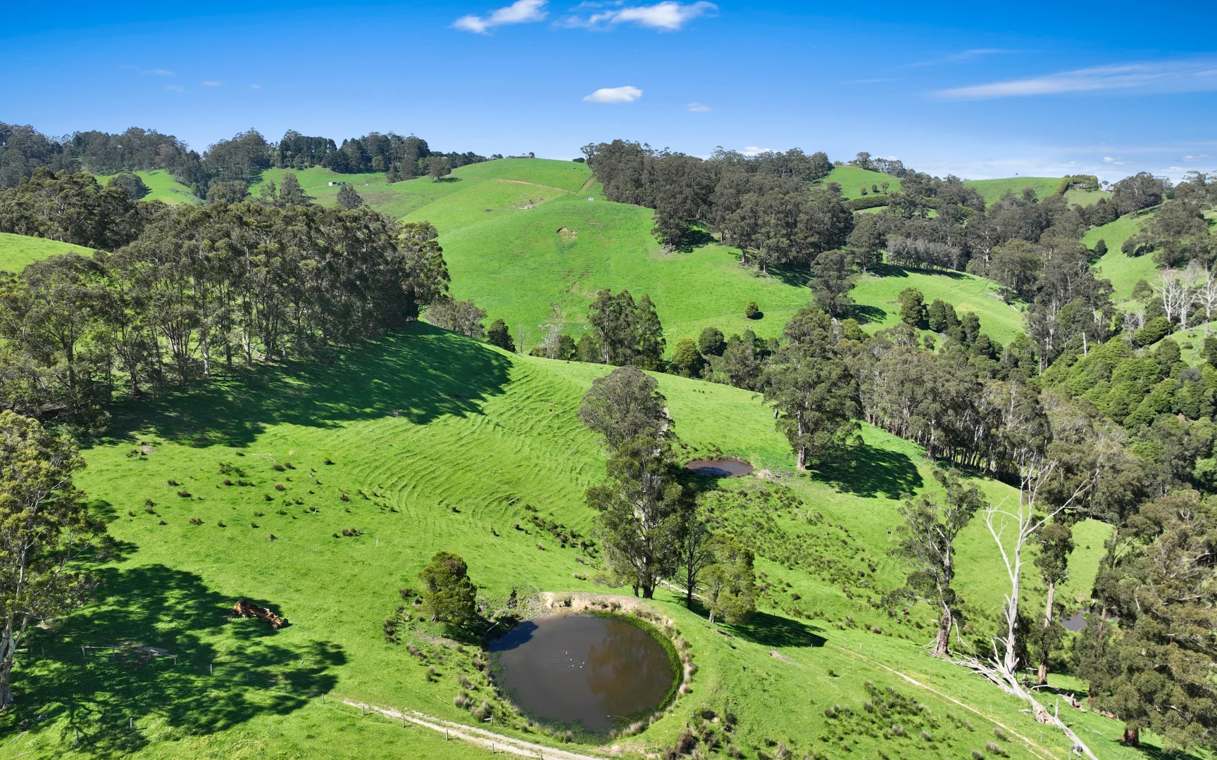 Additional image 21 of 196 Peters Road, Ellinbank VIC 3821