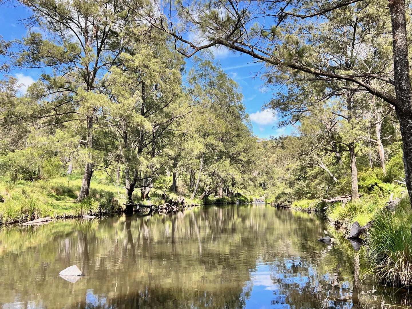 Additional image 15 of 191 Sheepstation Creek Road, Dundurrabin NSW 2453