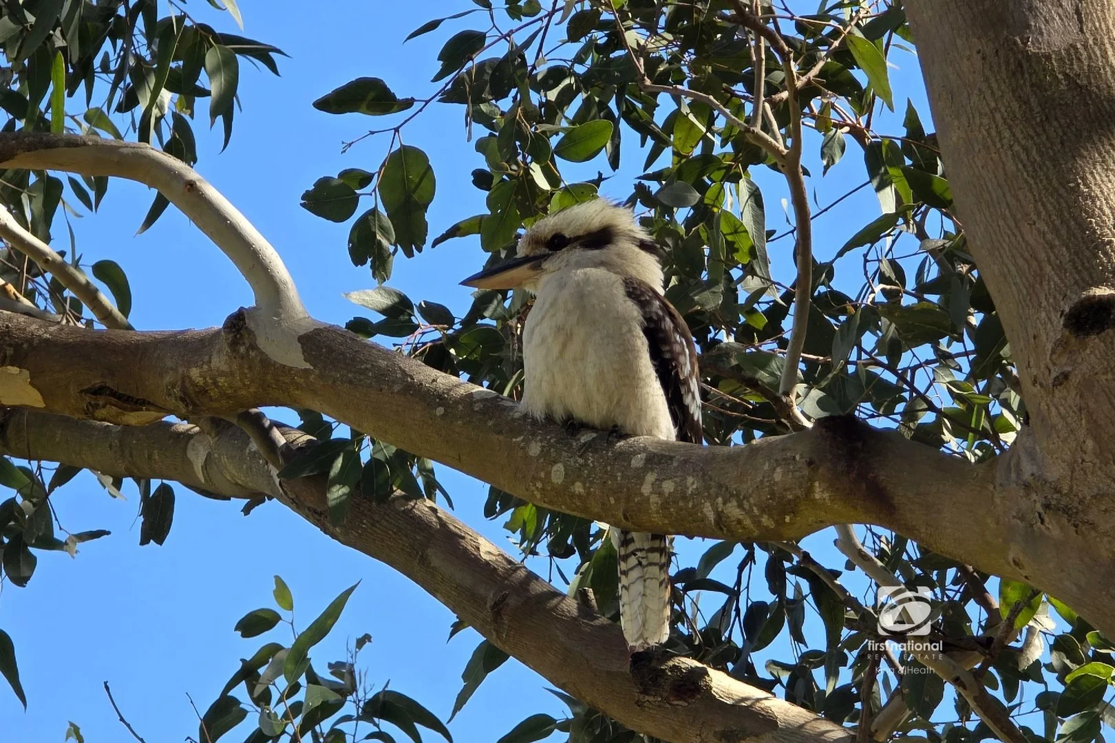 Additional image 33 of 60 Kings Cove Boulevard, Metung VIC 3904