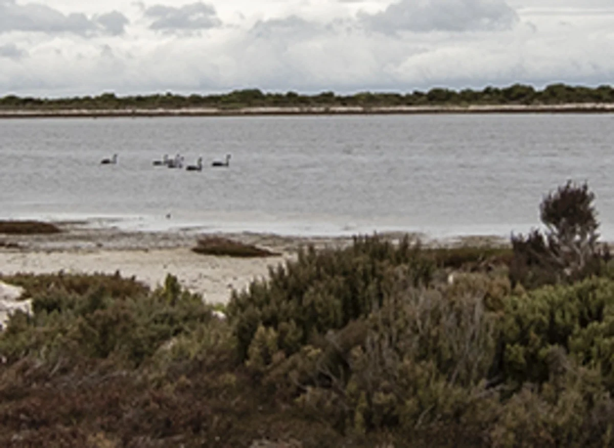 Additional image 16 of Section lot 38 Nugent Road, Foul Bay SA 5577