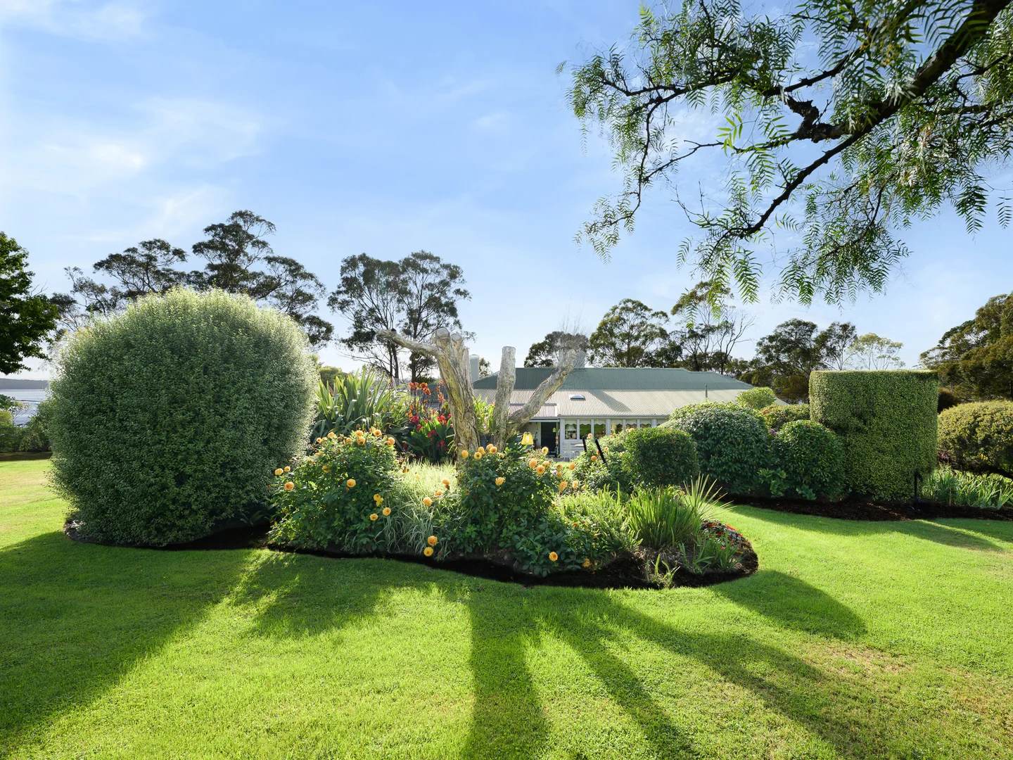 Additional image 30 of 58 Tasman Highway, St Helens TAS 7216