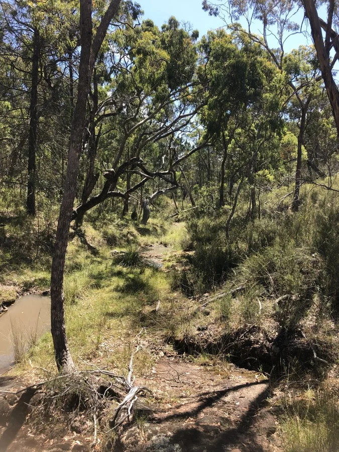 Additional image 4 of Lot 2 Clonmeen Road, Lindesay NSW 2347