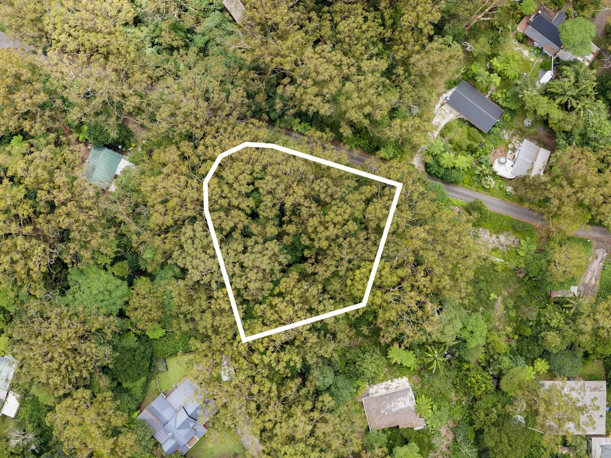 Additional image 10 of 5 Banksia Road, Springbrook QLD 4213