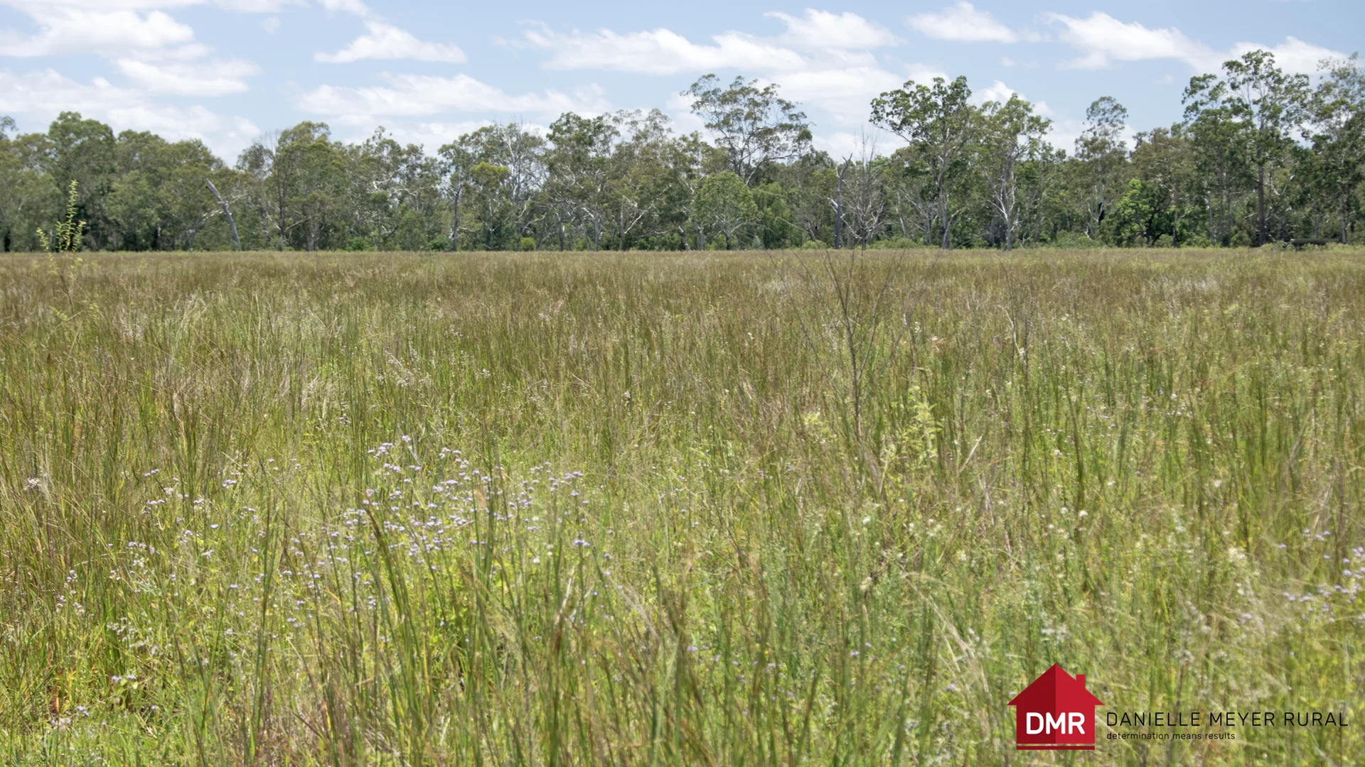 Additional image 16 of 8 Screening Plant Road, Cynthia QLD 4627