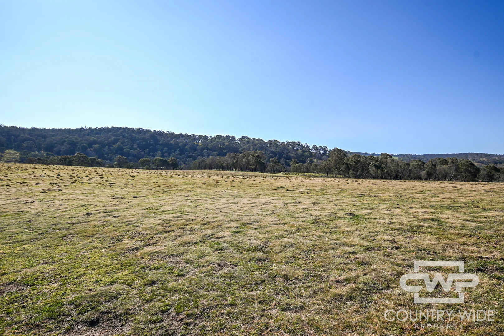 Additional image 14 of 1651 Shannon Vale Road, Shannon Vale NSW 2370