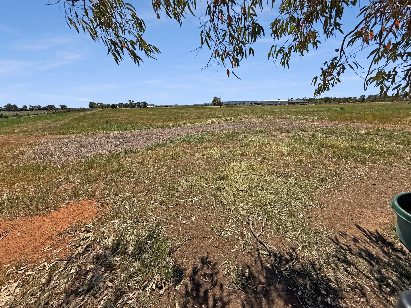 Additional image 18 of Farm 31A Almond Road, Leeton NSW 2705