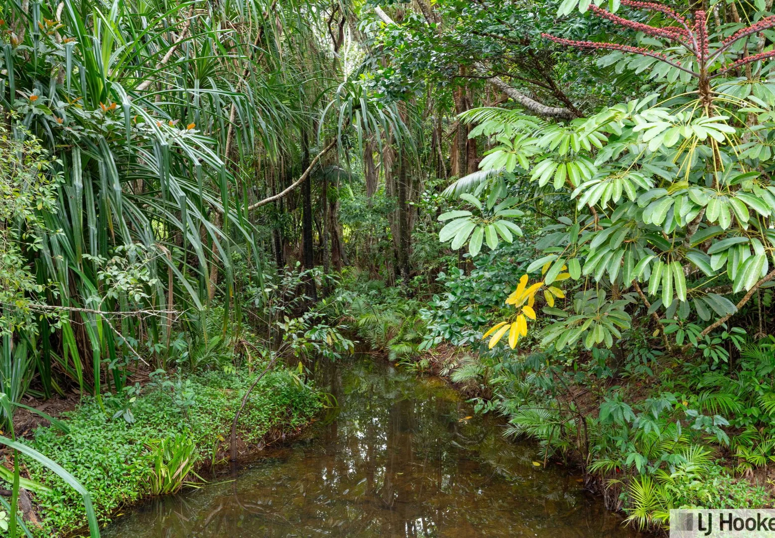 Additional image 9 of 37 Waterfall Place, Jubilee Heights QLD 4860