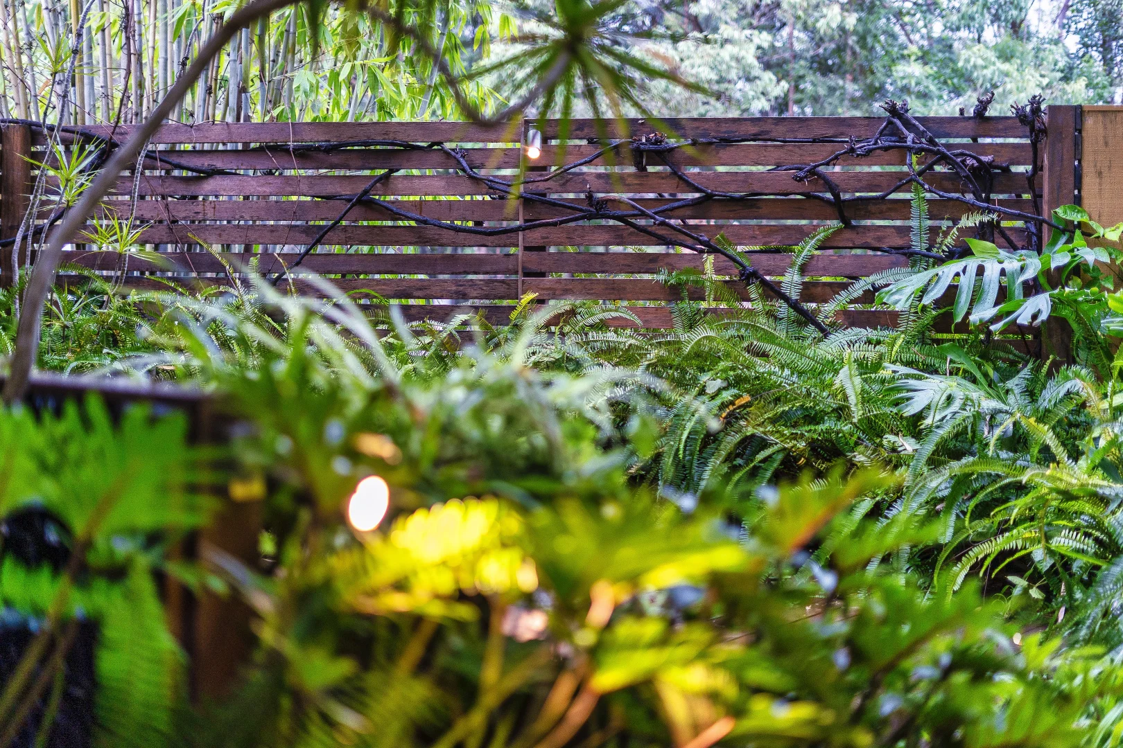 Additional image 59 of 336 Wongawallan Drive, Wongawallan QLD 4210