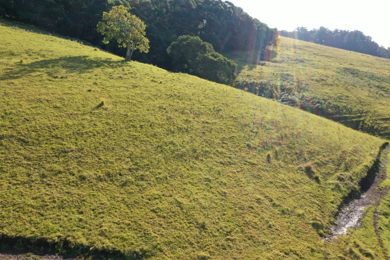 Additional image 16 of Lot 23 Fourter Road, Nethercote NSW 2549