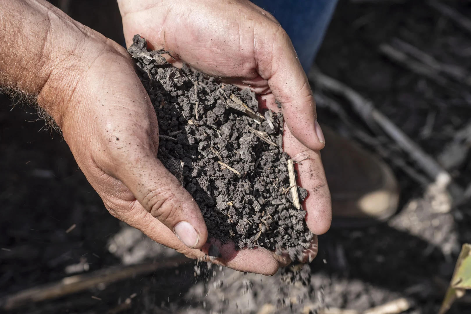 Additional image 5 of 1989 Millmerran Leyburn Road, Tummaville QLD 4352