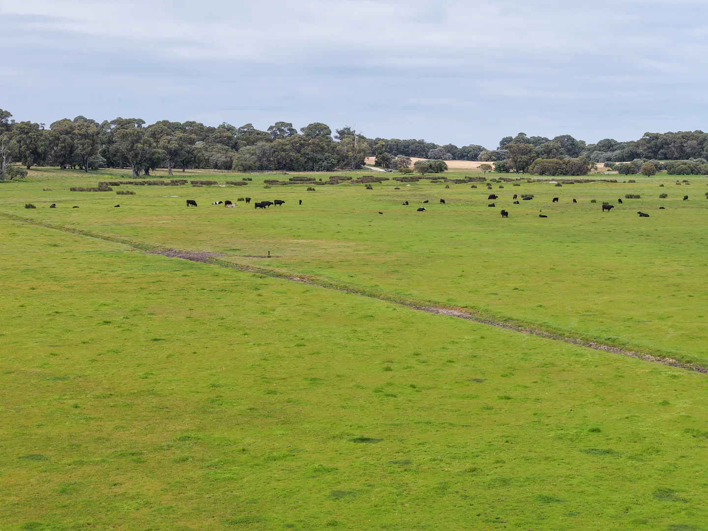 Additional image 4 of 1498, 1504 Harris Road, Myalup WA 6220