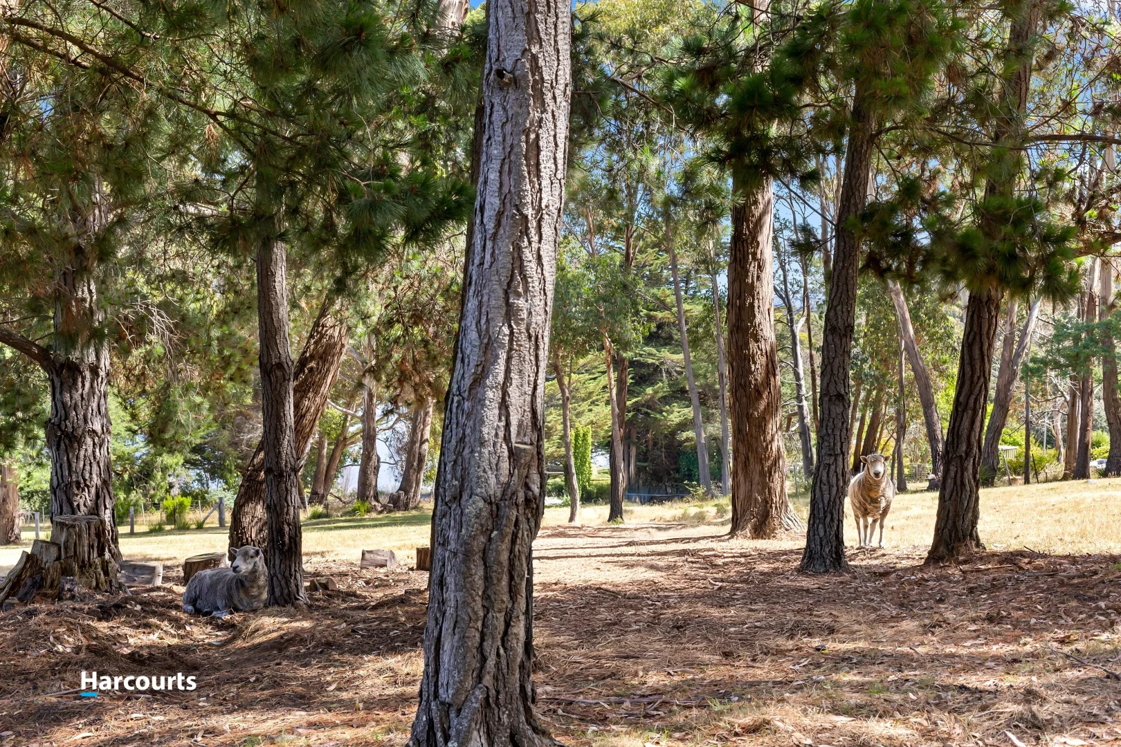 Additional image 28 of 11 Langridge Road, Gardners Bay TAS 7112